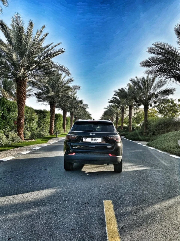 Black Jeep Compass, 2019 Photo 3