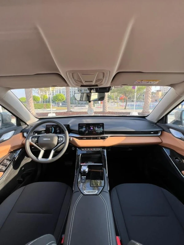 Grey Haval H6, 2024 Photo 2