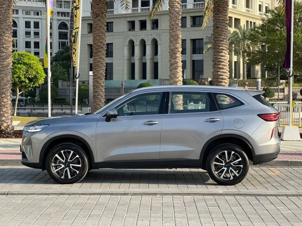 Grey Haval H6, 2024 Photo 4