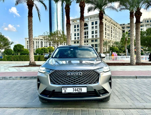 Grey Haval H6, 2024 Photo 8