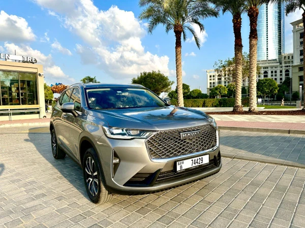 Grey Haval H6, 2024 Photo 11