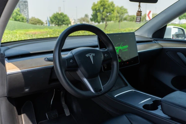 White Tesla Model Y Long Range, 2022 Photo 11
