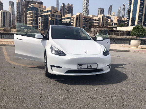 White Tesla Model Y Long Range, 2022 Photo 1